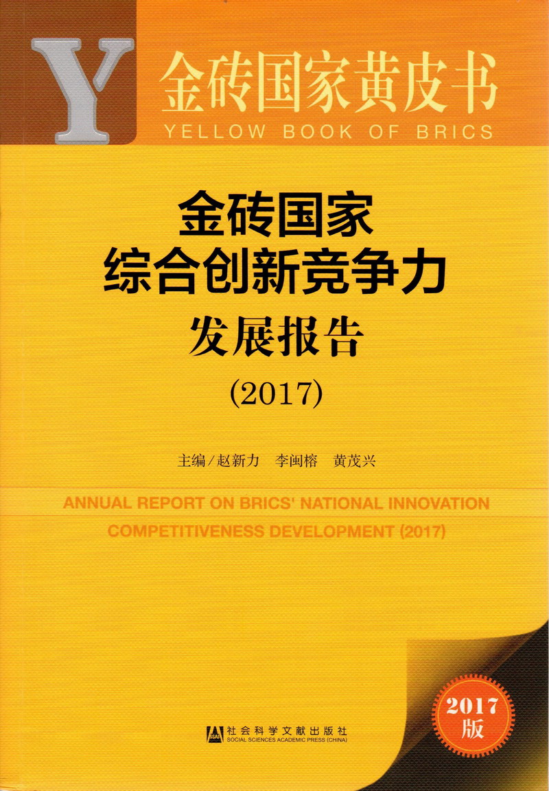 中国人操逼内射金砖国家综合创新竞争力发展报告（2017）